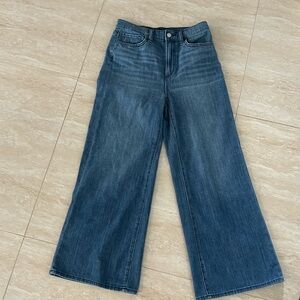 Joes The Mia High Rise Wide Ankle Jeans 28